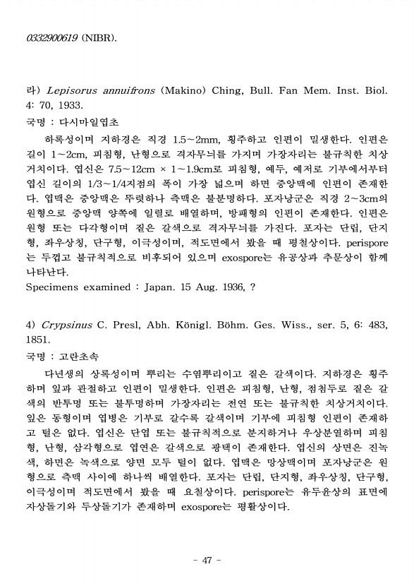 47페이지