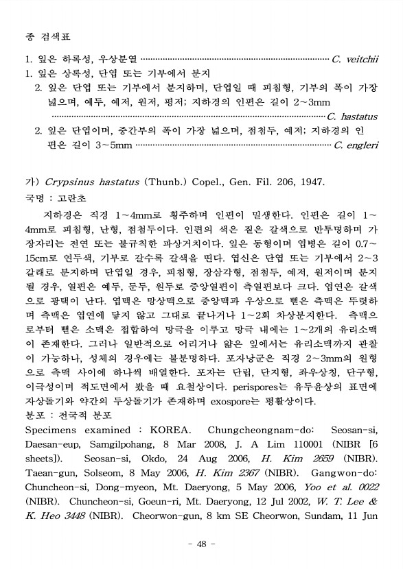 48페이지