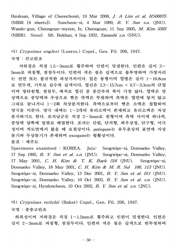 50페이지