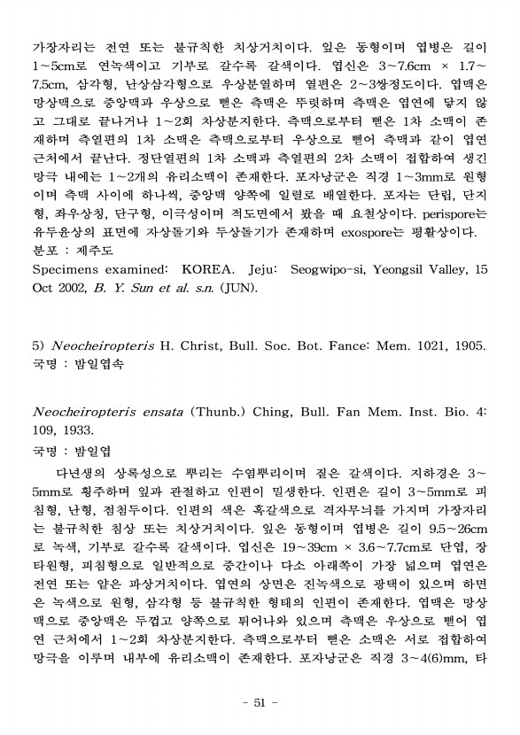 51페이지