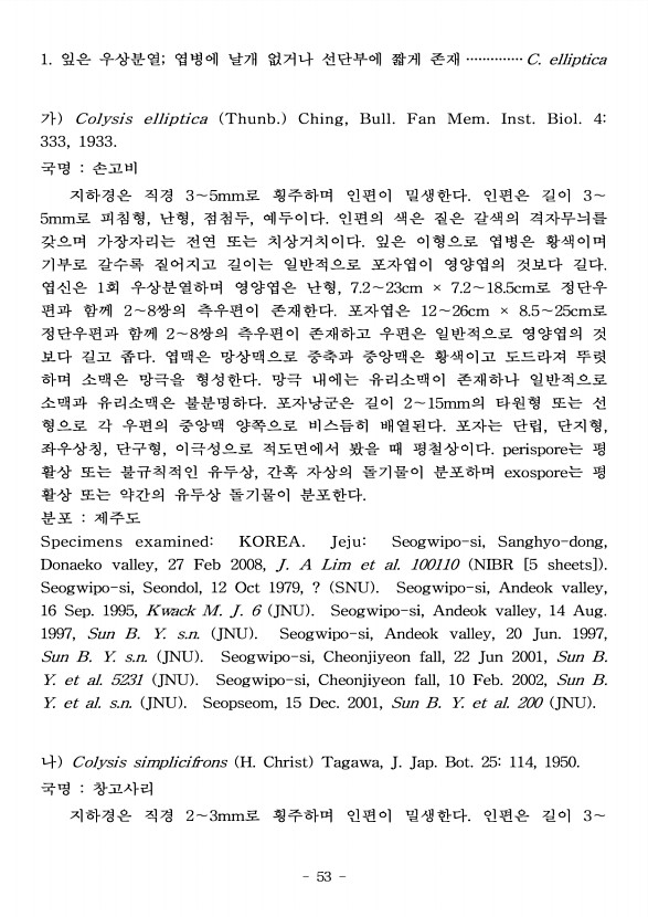53페이지