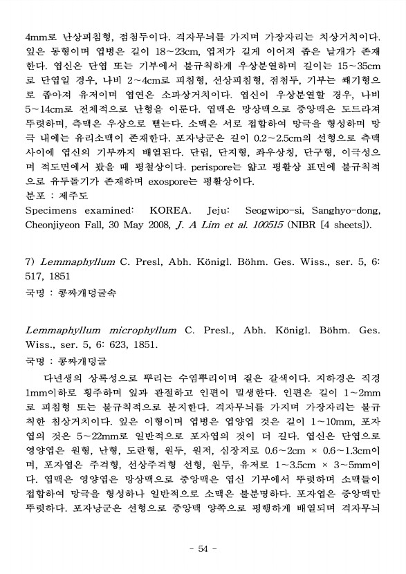 54페이지