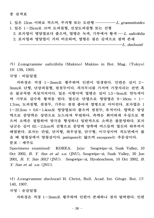 58페이지