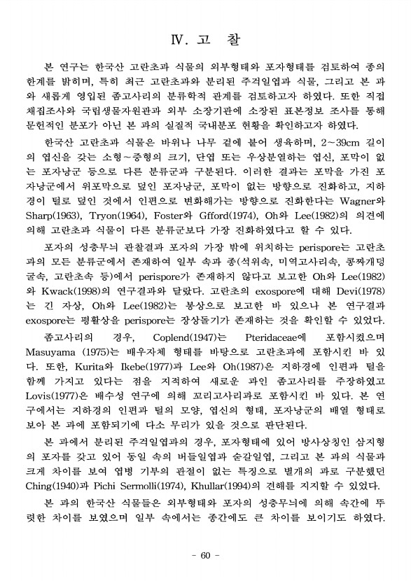 60페이지