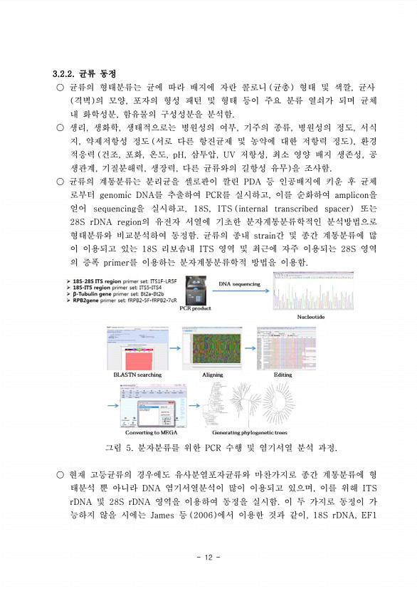 12페이지