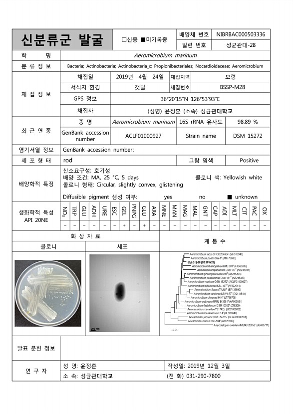99페이지