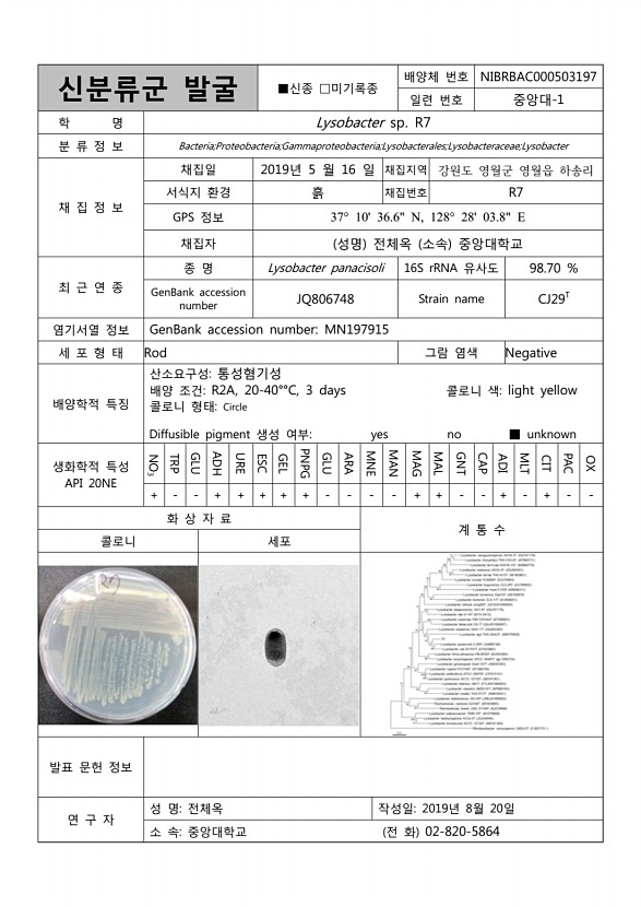 100페이지