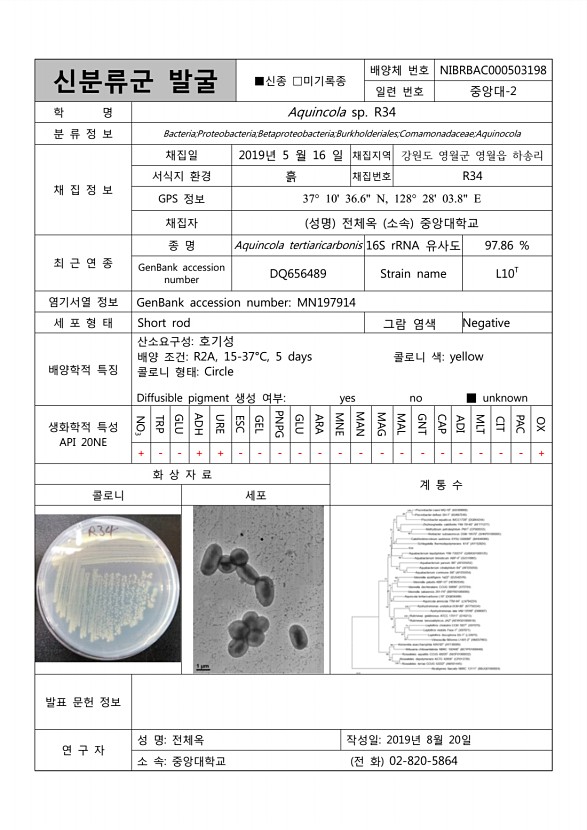 101페이지