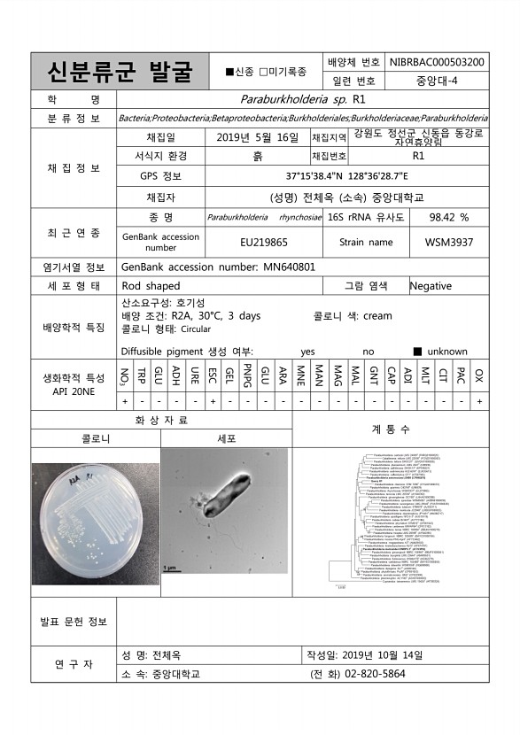 103페이지