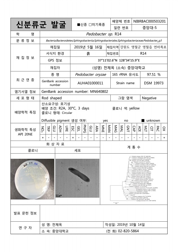 104페이지