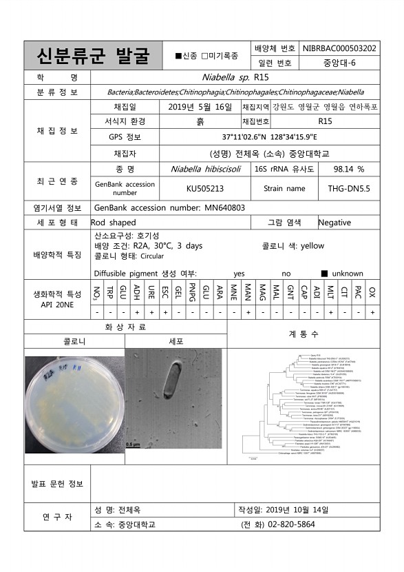 105페이지