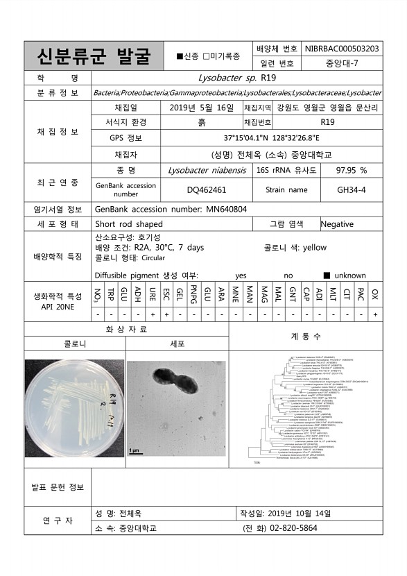 106페이지