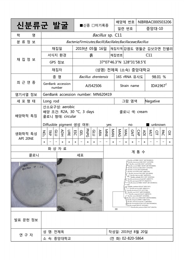 109페이지