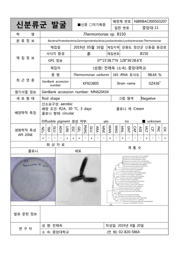 110페이지