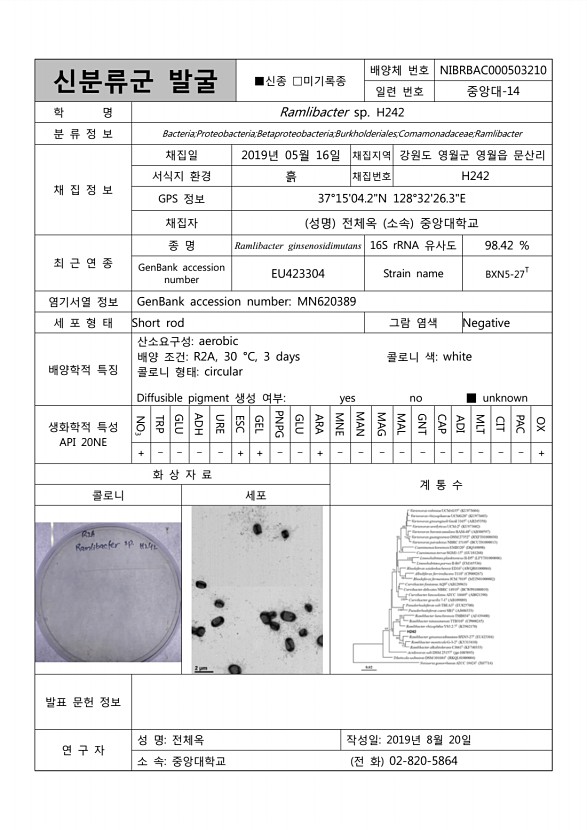 113페이지