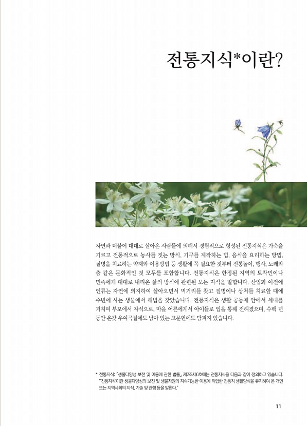 7페이지