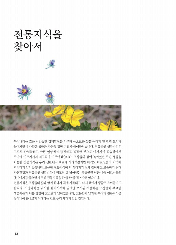 8페이지