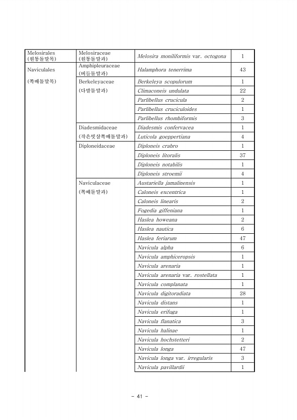 41페이지