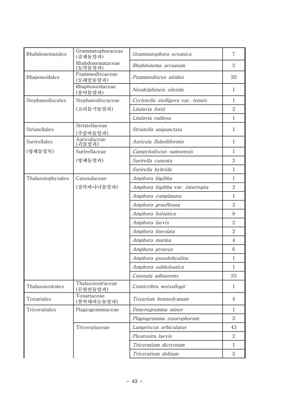 43페이지