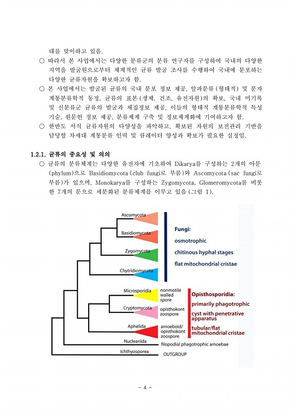 4페이지