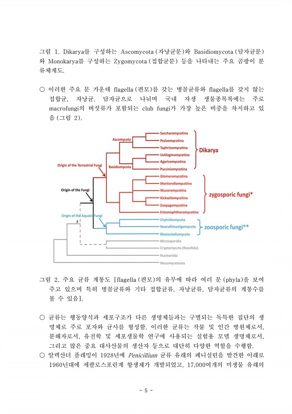 5페이지