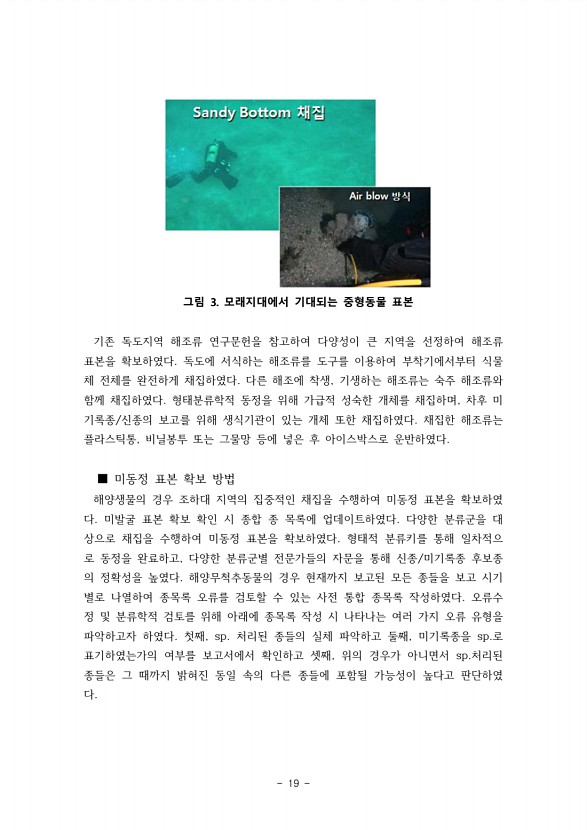 19페이지