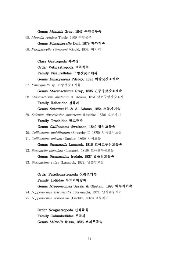 31페이지