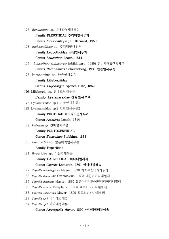41페이지