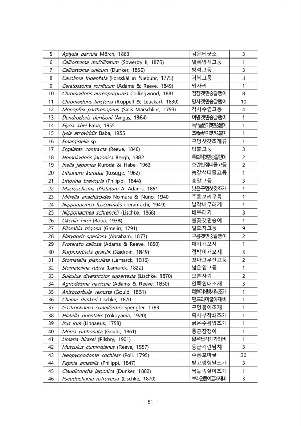 51페이지