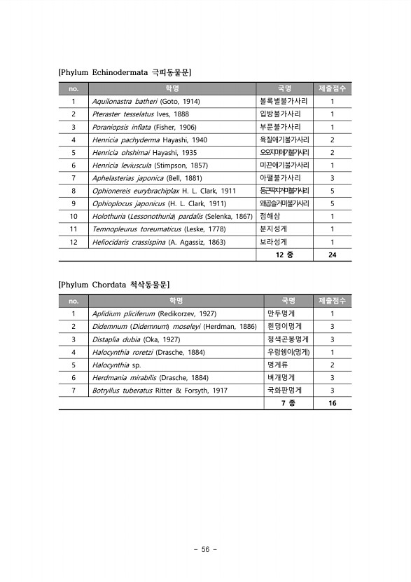 56페이지