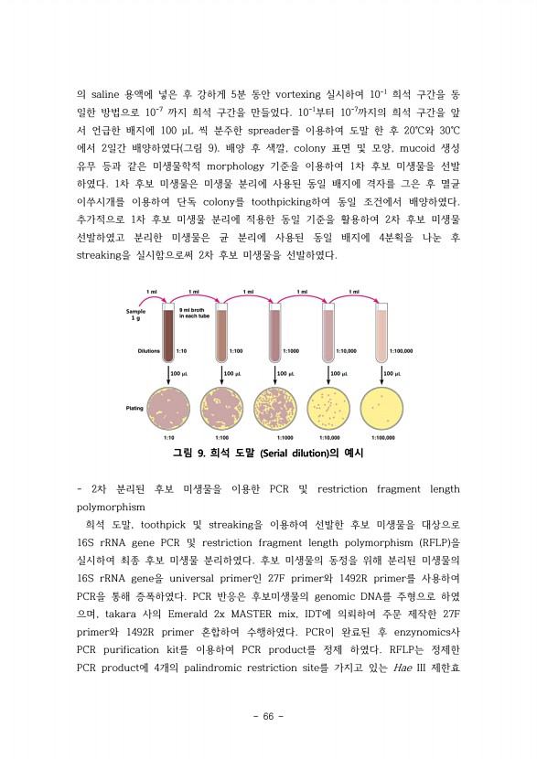 66페이지
