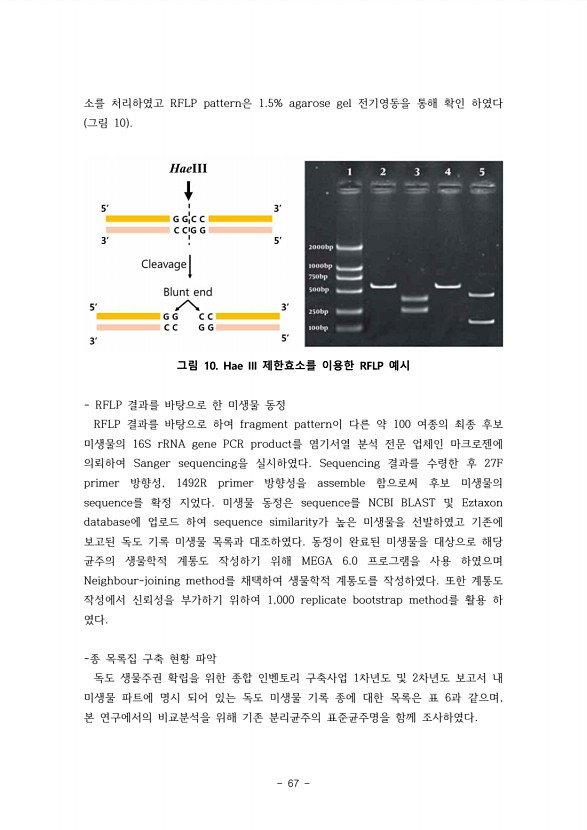 67페이지