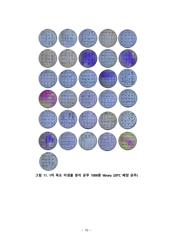 70페이지
