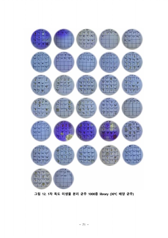 71페이지