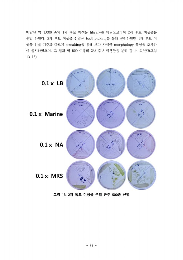 72페이지