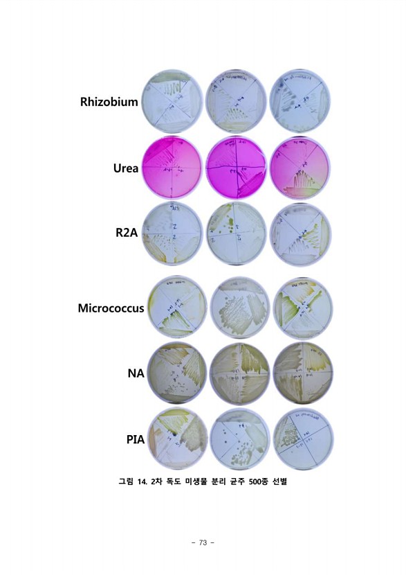 73페이지