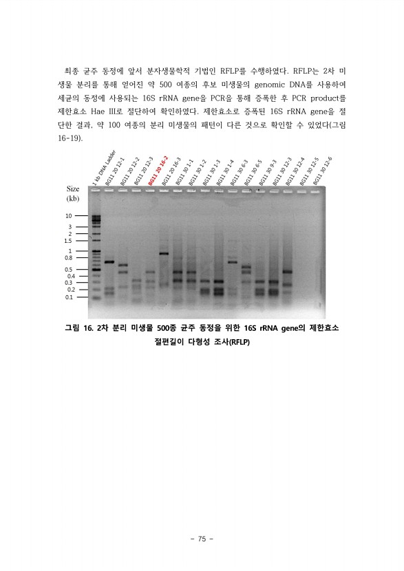 75페이지