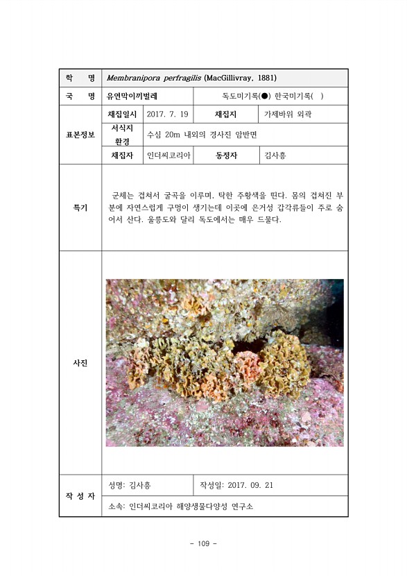 109페이지