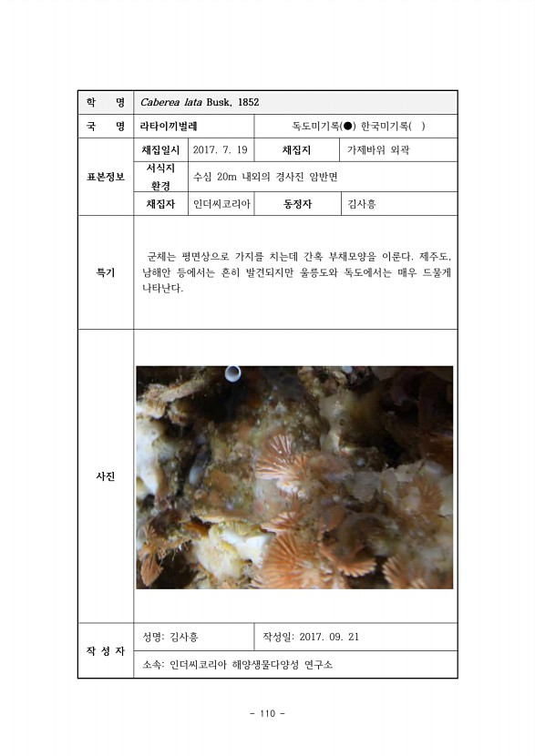 110페이지