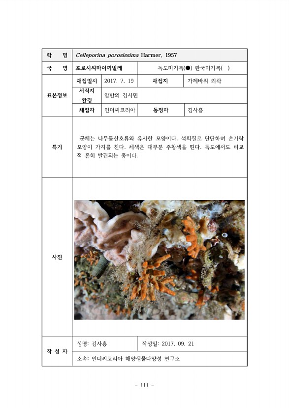 111페이지