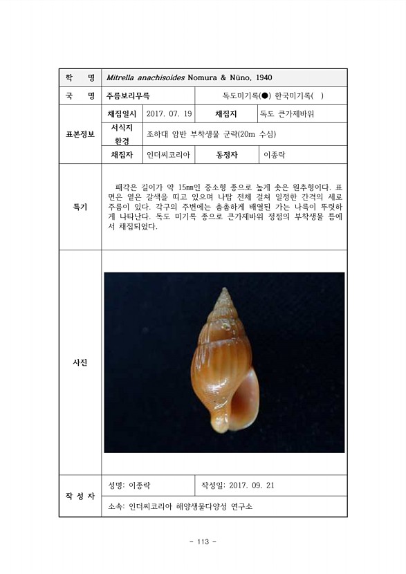 113페이지