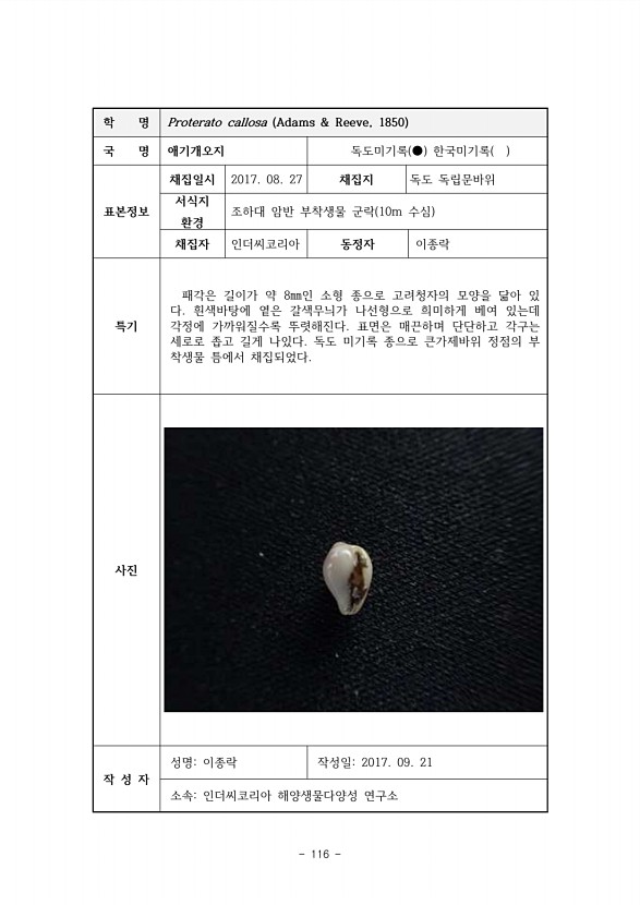 116페이지