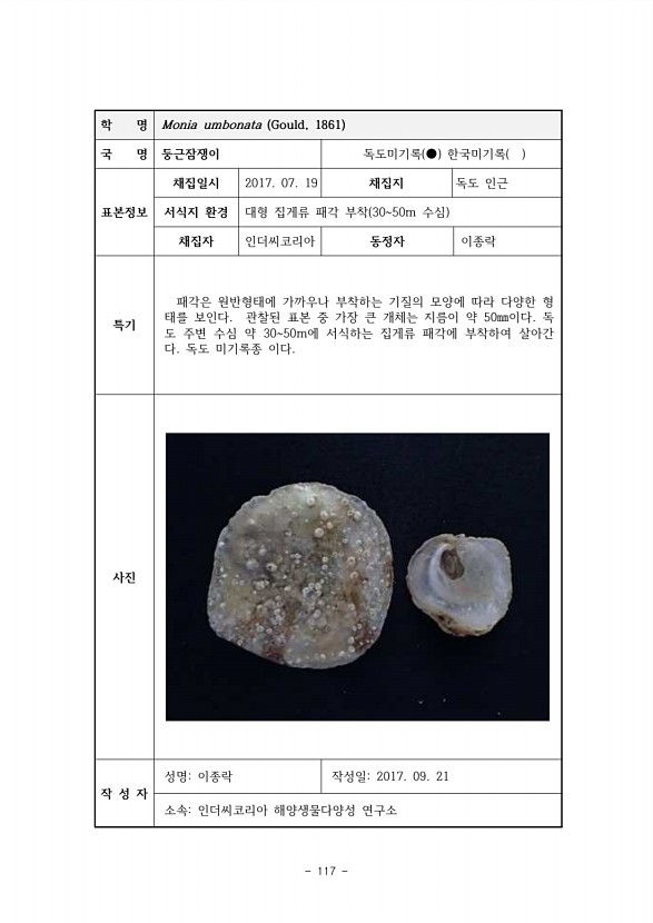117페이지