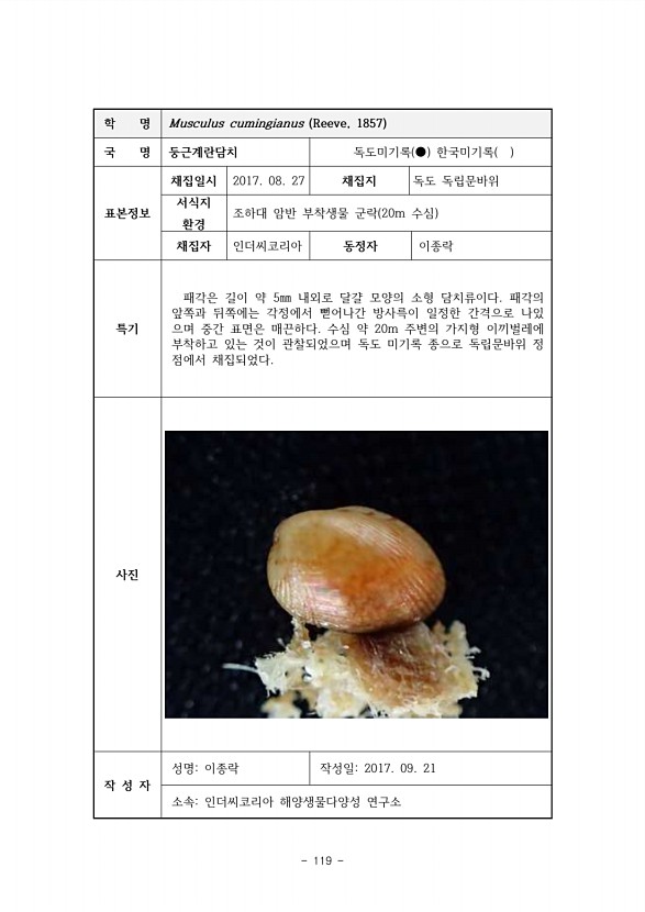 119페이지