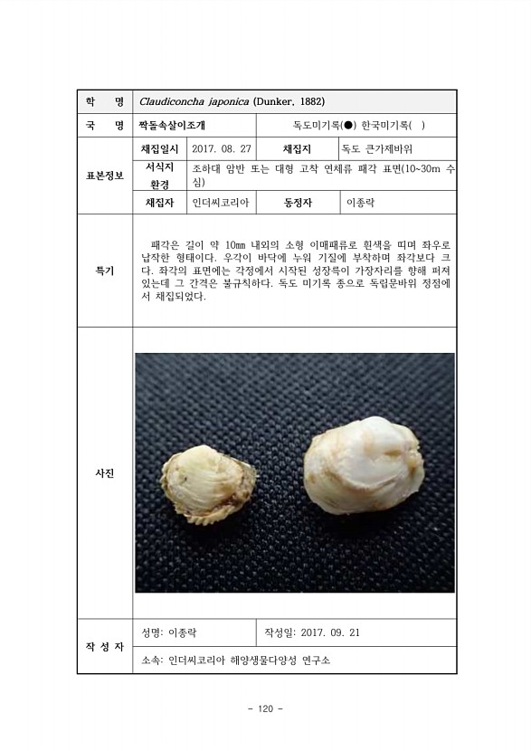 120페이지