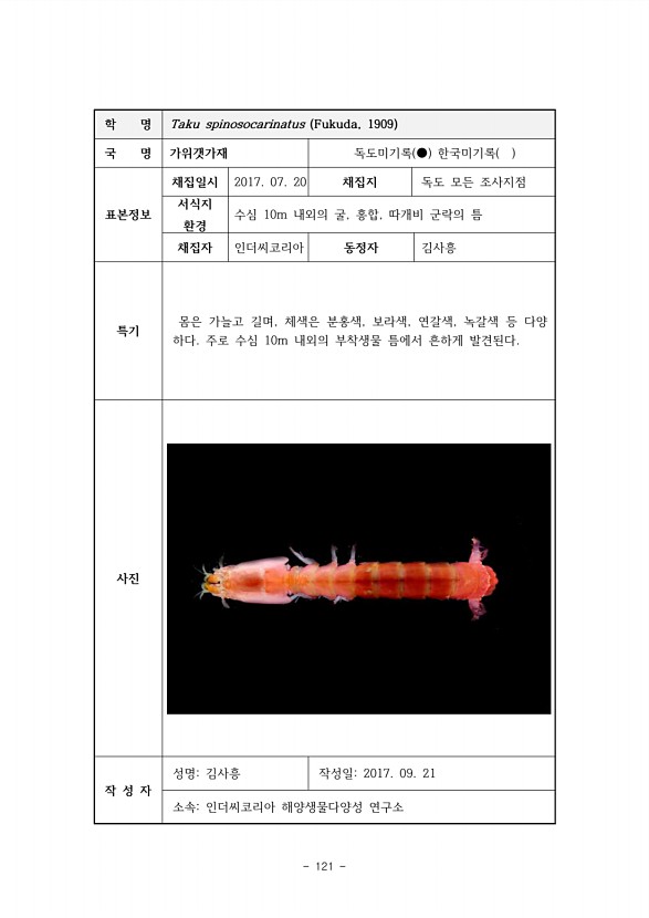 121페이지