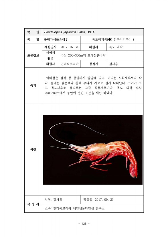 125페이지