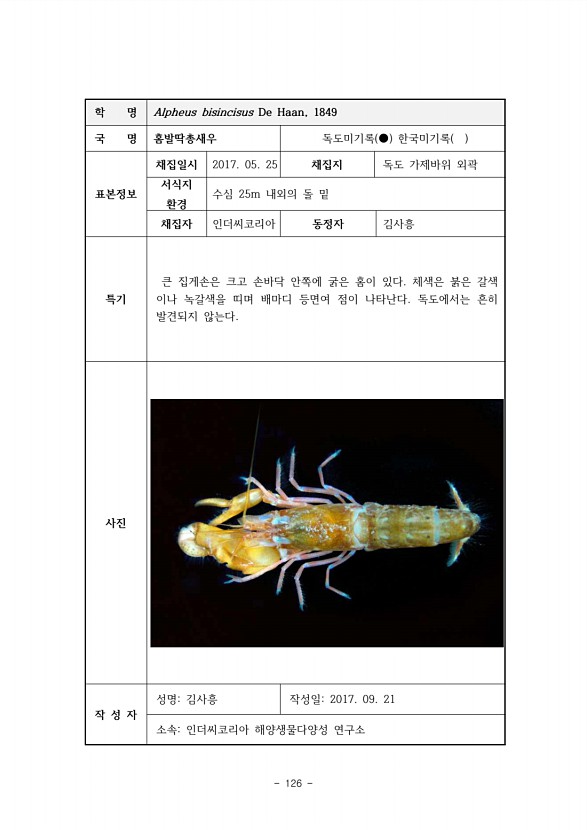 126페이지