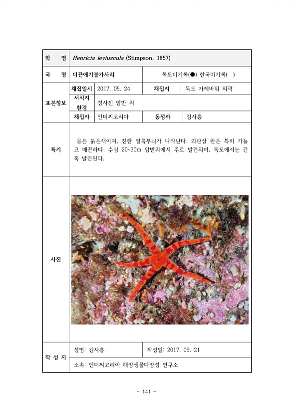 141페이지