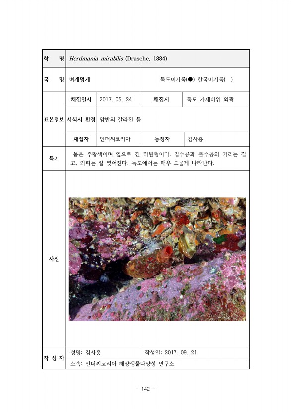 142페이지